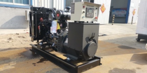 Générateur 40kW / 50kVA / 220V à prix d'usine, générateur 40kW / 50kVA à vendre - Product Image 3