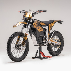 Moto tout-terrain TIME F29R 96V pour adultes, moto de motocross, moto d'usine - Product Image 3