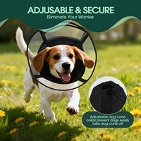 Collier de protection anti-morsure moderne et souple HIPHOPPET pour chiens et chats, accessoires pour animaux de compagnie, collier de récupération pour animaux de compagnie