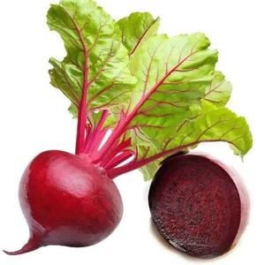 100% 순수 대량 유기농 붉은 비트 뿌리 분말 핫 세일 건조 붉은 비트 분말 - Product Image 5