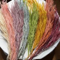 Offre Spéciale – Herbe à feuillage dentelé naturellement préservée, tiges séchées multicolores pour décoration de mariage bohème, maison et arrangements de fête