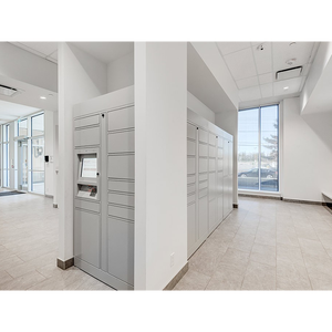 Headleader IOT Thiết Bị Đầu Cuối Tùy Chỉnh An Toàn Thông Minh Điện Tử Bưu Chính Bưu Kiện Locker Chuyển Phát Nhanh Locker Giao Hàng Thông Minh Bưu Kiện Tủ Khóa - Product Image 1