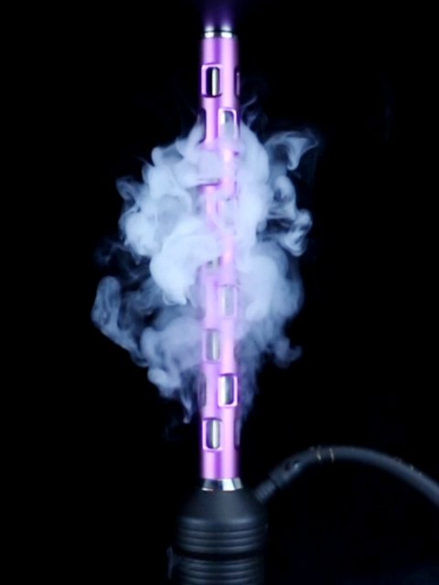 Doggy uslubidagi semiz ayollar mushuklarining fotosuratlari