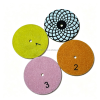 Tampons de polissage à sec diamantés industriels en 4 étapes, 4 pouces (100 mm), matériau abrasif en spirale pour la restauration du granit, du marbre et de la pierre