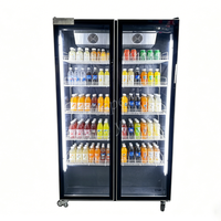Réfrigérateur commercial à double porte vitrée pour boissons, vin et bière, pour bar, supermarché, magasin