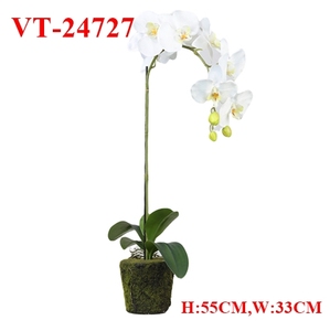 2025 NOUVELLE USINE DE PHALAENOPSIS /CYMBIDIUM ARTIFICIELLE EN POT DE VERRE - Product Image 3