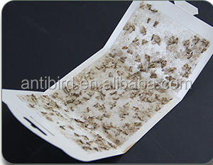 Pièges à <span class=keywords><strong>mites</strong></span> Haierc pour vêtements, piège à <span class=keywords><strong>mites</strong></span> de garde-manger, piège à mouches à colle avec phéromones - Product Image 3