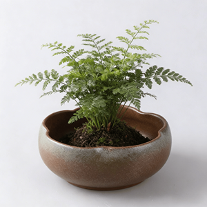 Macetas Hidropónicas para Lirios de Agua, Pennywort, Narcisos, Pothos Creativos, Cuencos Grandes de Cerámica No Porosa, Ecológicos con Drenaje - Product Image 5