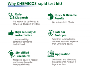 Nouveau CASHT marque ISO9001 certifié vétérinaire bovin grossesse précoce Kit de détection rapide PAG carte de bande de sang total grossesse - Product Image 6