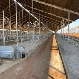 Cobertizo de vacas Edificio de granja Ganado Construcción de metal Edificio Cobertizo de ganado de acero ligero prefabricado - Product Image 2
