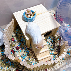 Escondite <span class=keywords><strong>de</strong></span> hámster <span class=keywords><strong>de</strong></span> madera extraíble con escalera-hábitat <span class=keywords><strong>de</strong></span> múltiples ventanas para hámsteres sirios, jerbos y mascotas pequeñas - Product Image 5