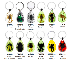 고투명 레진 봉입 자연 곤충 드롭 야광 키체인 펜던트 소스 강도 프로모션 카라비너 키링 - Product Image 6