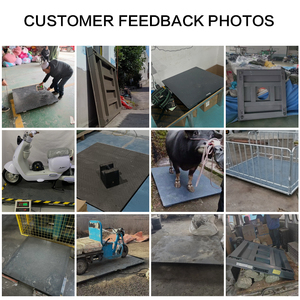 Customizable SCS Industrial Electronic Floor <strong>Scale</strong> 1-3 Ton Animal Livestock <strong>Scale</strong> with LCD/LED Display RS232 OEM/ODM - Product Image 5