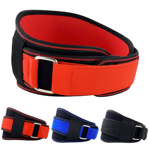 Cintura di Supporto Lombare Regolabile in Nylon e Gomma con Logo Personalizzato, Attrezzatura per Sollevamento Pesi per Uomini e Donne - Product Image 2