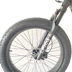 Bicicleta eléctrica Berserk 60 Fast E con doble motor, freno de disco hidráulico de 500 W, Central AC3040 Fast E con doble motor AC3040 AC3040 F - Product Image 4