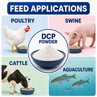 Phosphate dicalcique (DCP) en poudre de qualité alimentaire pour l'alimentation des volailles, des porcs et des bovins, disponible en vrac depuis l'entrepôt américain