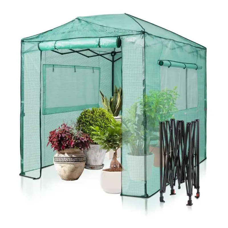 Sunshine outdoor High Quality, Small plastic Double compartment walk-in conservatory garden greenhouse/