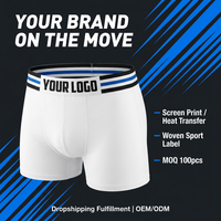 Sous-vêtements pour hommes en modal avec logo personnalisé OEM, caleçons boxer à taille élastique douce, vente en gros d'usine