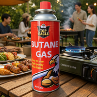 Bouteille de gaz butane miniature jetable de haute qualité, fabriquée en usine OEM, pour le camping et la cuisson