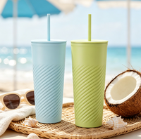 Gobelet à eau en plastique double couche Evershine, écologique, sans BPA, avec paille, pour le camping, design antidérapant