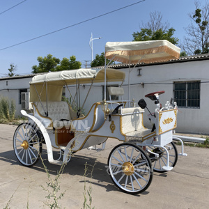 รถม้าไฟฟ้าสไตล์วินเทจสีขาวตกแต่งขอบทอง ยานพาหนะพิเศษสำหรับการท่องเที่ยวชมวิว - Product Image 6
