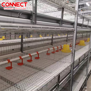 Sistema automatico di gabbia per pollaio di alta qualità - Product Image 4