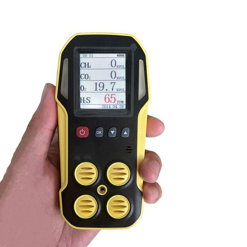 Gas Monitor Sampling Landfill Gas Monitor - Precision Analyzers for Safety