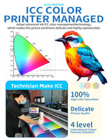 Plotter DTG Automático Comercial Fuliyin F-4050 de 2 Cabezales, Alta Precisión 4800 DPI, 40x50cm, Tinta a Base de Agua para Camisetas 100% Algodón