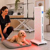 Panneau de luminothérapie rouge commercial, appareil de photothérapie LED haute puissance, thérapie par lumière infrarouge pour clinique