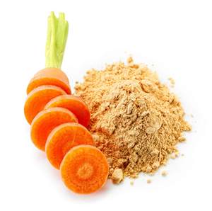 Polvo de zanahoria a granel FD orgánico de alta calidad, grado alimenticio para la industria de alimentos y bebidas - Product Image 2