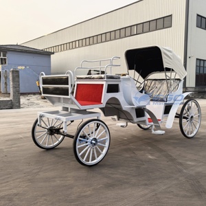 Carruaje de Boda Clásico Estilo Princesa Cenicienta, Modelo 2026, Económico y Superventas, Carruaje Eléctrico Turístico en Venta - Product Image 5