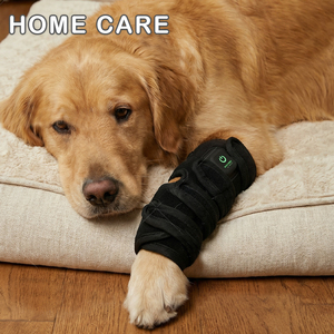 Cinto de Terapia com Luz Vermelha Portátil Dispositivo Vestível para Alívio da Dor em Cães e Gatos Cuidado com Artrite Recuperação Muscular Reparação de Tecidos - Product Image 4