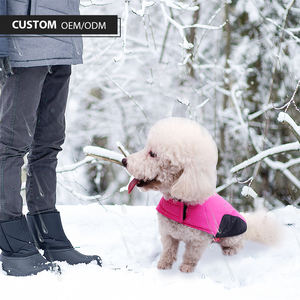 Grand vêtement d'hiver coupe-vent réfléchissant pour chien Bouledogue français Chiot <span class=keywords><strong>Chihuahua</strong></span> pour petit chien moyen pour Halloween - Product Image 5