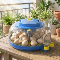 Équipement d'élevage de poulets entièrement automatique Wonegg, incubateur à 18 œufs, couveuse pour l'éclosion des œufs, avec certification CE