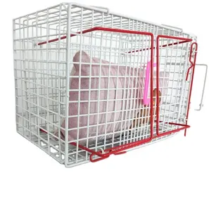 USMILEPET Wholesale Cat Bath Cage Injection Sustainable Cat Boarding Cages Anti-scratch Bite Cat Restriction Cage For Pet Clinic