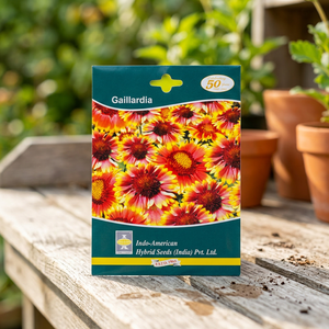 Indo-American Hybrid Seeds IAHS GAILLARDIA <b>Dried</b> <b>Flowers</b> MESA <b>YELLOW</b> 10 Seeds India - Product Image 2