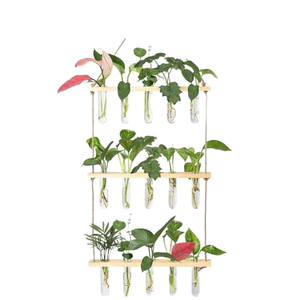 <span class=keywords><strong>Kit</strong></span> de terrarium mural en verre borosilicate rond avec trou de drainage - Écologique pour la maison et le jardin - Product Image 1