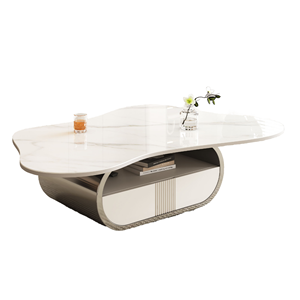Modern Durable Eco-Friendly Butterfly <b>Coffee</b> <b>Table</b> Sintered Stone Top <b>Oval</b> <b>Storage</b>- Shelf Drawer Stainless Steel Home Furniture - Product Image 1