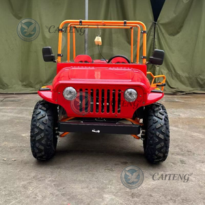 Vehículos Eléctricos de 2 Plazas, Autos Usados, Jeep de Gasolina, Mini Jeep de Alta Velocidad, ATV de <span class=keywords><strong>200cc</strong></span> 250cc, Jeep UTV de Gasolina para Niños y Adultos - Product Image 3