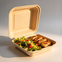 Conteneur alimentaire en bagasse de canne à sucre de 110 oz avec couvercle, biodégradable, sans BPA, sans PFAS, compatible micro-ondes, boîte à emporter
