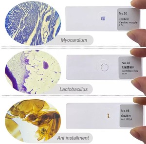 Tıbbi öğretimde biyoloji için mikroskop slaytları üreticileri için histoolojik tiplerin öğretim kaynakları - Product Image 6