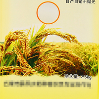 Sac à riz écologique de 2,5 kg résistant à l'humidité, sac d'emballage pour riz en PP laminé avec design imprimé personnalisé