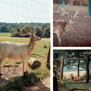 Good Quality Cattle Field Fence Hot Dipped Galvanized Cattle Farm Fence