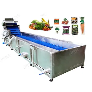 Fresh Vegetable Packaging Equipment Lettuce Cleaning Washing Drying Cutting Machine Processing Line
