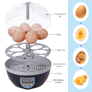 6 pièces poulet Mini incubateurs à œufs incubateur à retournement automatique <span class=keywords><strong>Machine</strong></span> à couver les œufs incubateur de poulet à vendre - Product Image 4