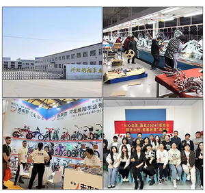 Vélo à vitesse unique pour enfants de 3 à 12 ans, fourche en acier de 12/16/20 pouces, utilisé mais en très bon état - Product Image 6