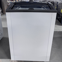 Congélateur à crème glacée commercial, type coffre, 2 portes, système de refroidissement direct, réfrigérant R290, 220V, écran LED numérique