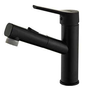 Rubinetti per Lavabo Monocomando con Doccetta Estraibile, Interruttore a Pulsante, Miscelatore per Acqua Calda e Fredda, Rubinetteria per Bagno - Product Image 1