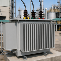 Puissance spéciale 50kVA pour transformateurs pour panneaux solaires photovoltaïques Éoliennes Autres équipements d'énergie nouvelle