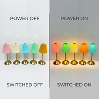 Lampe de table moderne à abat-jour plissé en PP, sans fil, rechargeable, avec variateur tactile Type-C, pour salle à manger, café, chevet, lumière d'ambiance LED